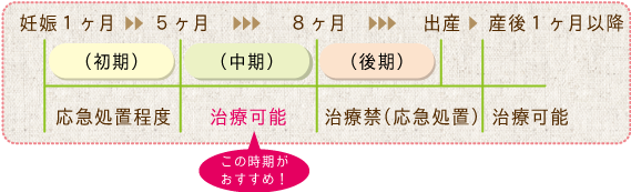 妊婦さんが来院できる時期