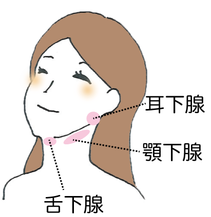 唾液腺マッサージ