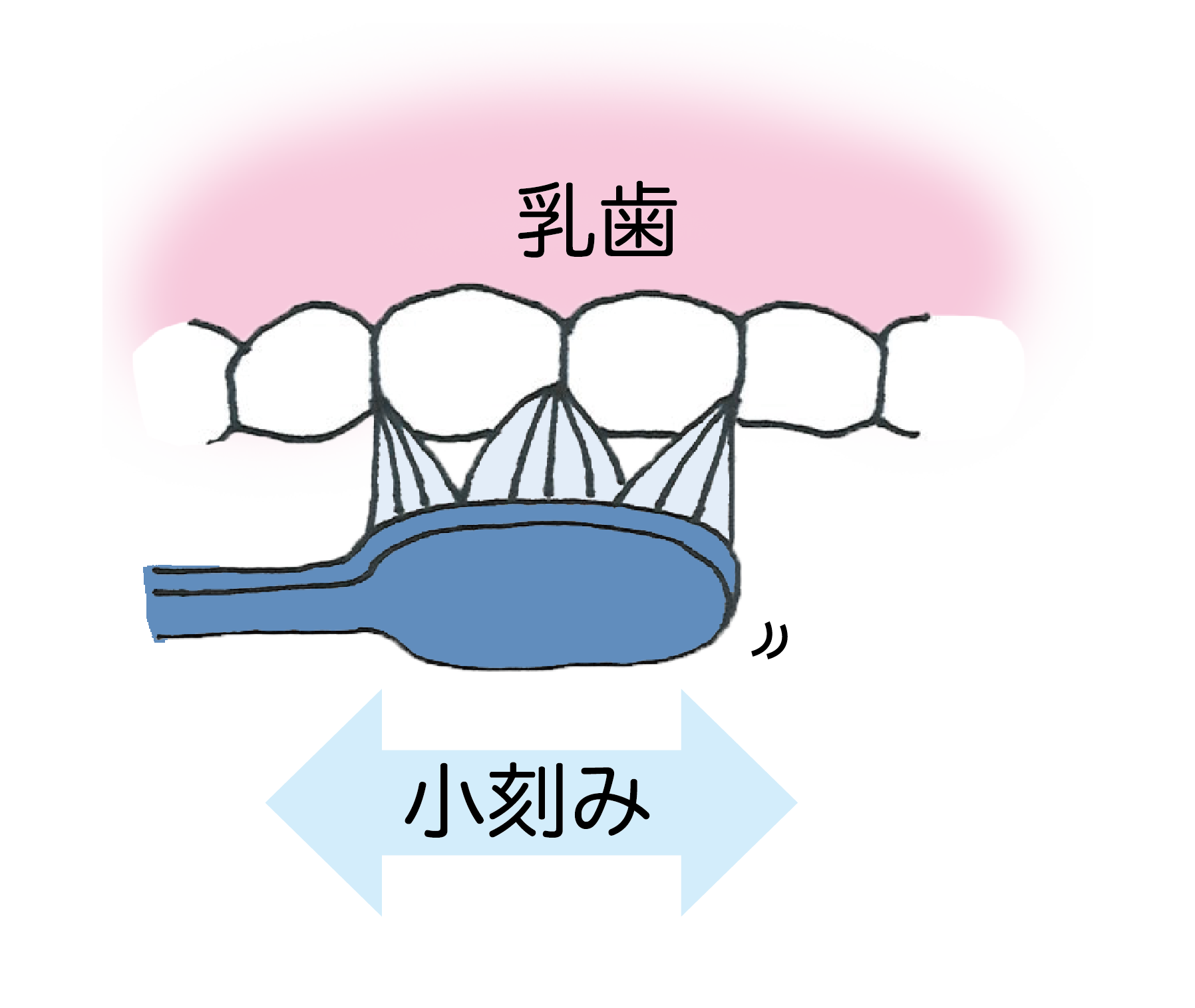 歯ブラシの動かし方