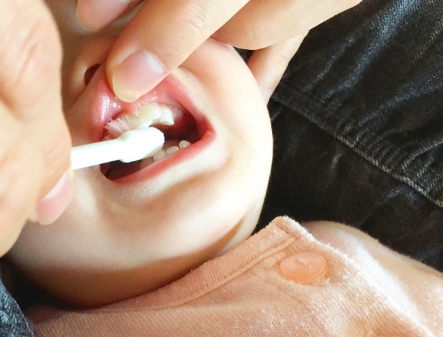 歯医者が勧める 赤ちゃんの正しい歯磨き 松戸の歯医者ありす歯科