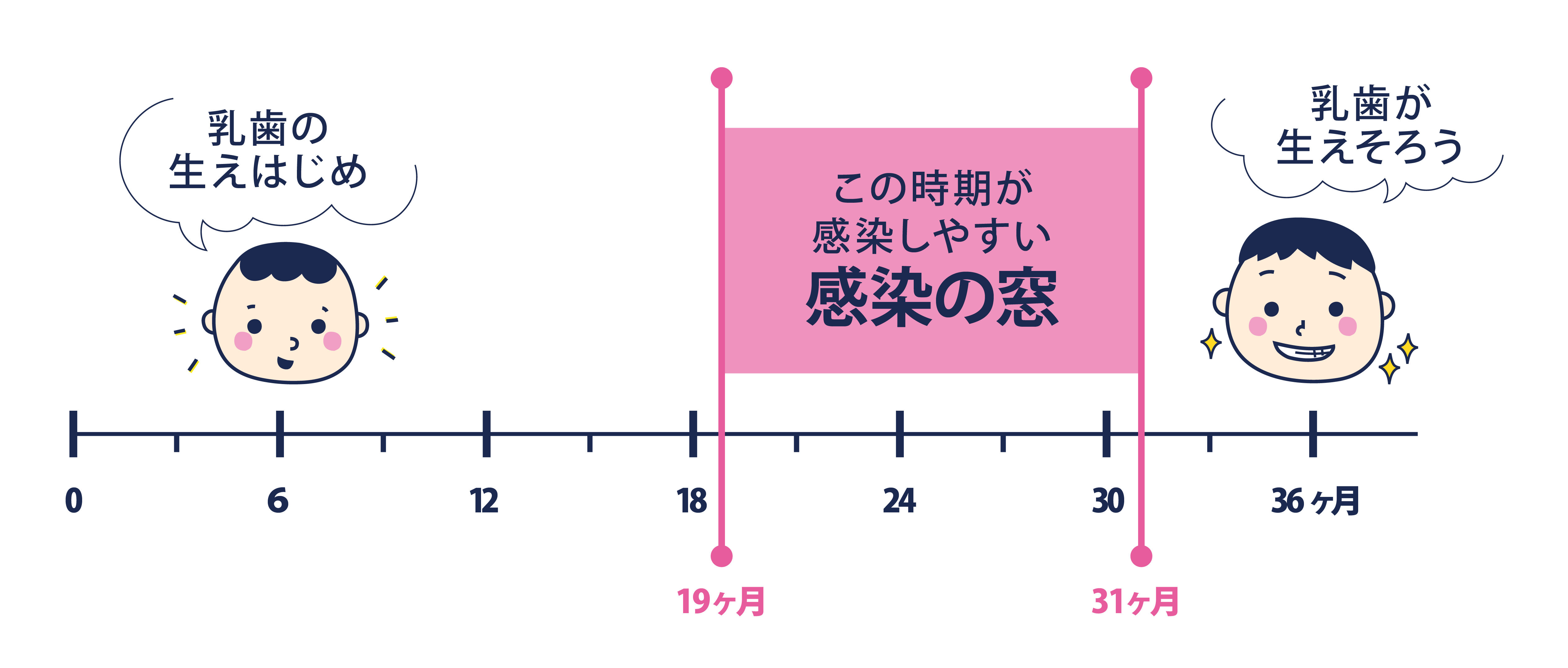 感染の窓